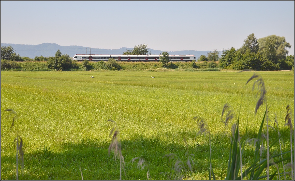 10 Jahre Seehas mit der SBB. 

Zwischen Bodensee und den Hegauvulkanen durchfährt der Seehas eine alte Kulturlandschaft mit freuchten Wiesen. Böhringen, Juli 2015.