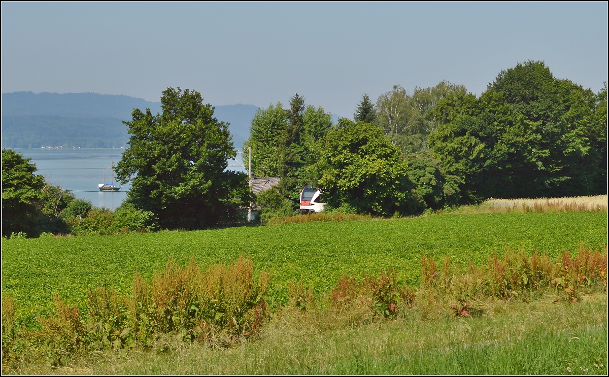 10 Jahre Seehas mit der SBB. 

Seehasen sind scheue Tierchen, vielleicht hatte man ihn Seelöwe nennen sollen... Juni 2015.