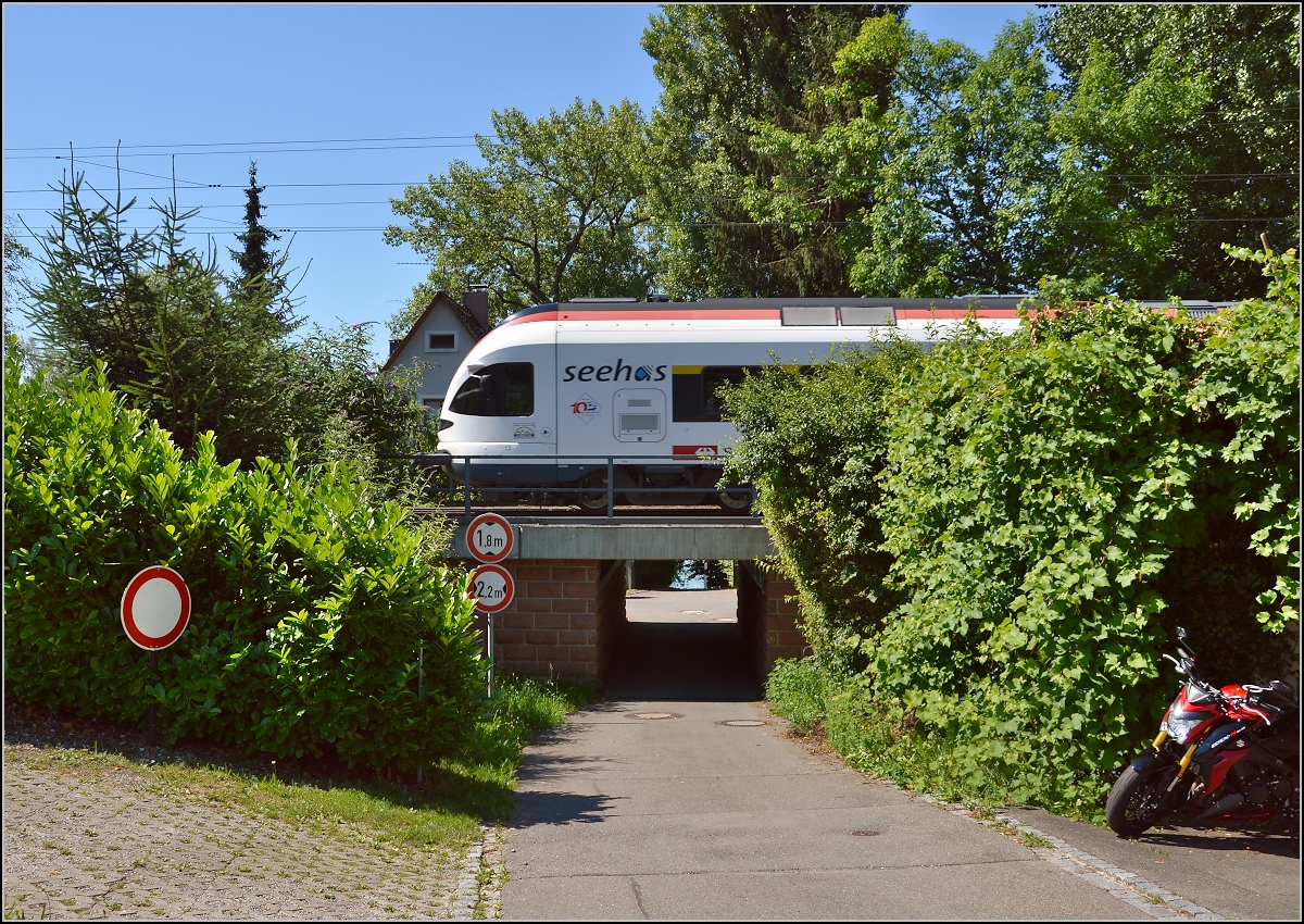 10 Jahre Seehas mit der SBB.

Ein Sommerbild mit Seehas. Allensbach, Juni 2015.