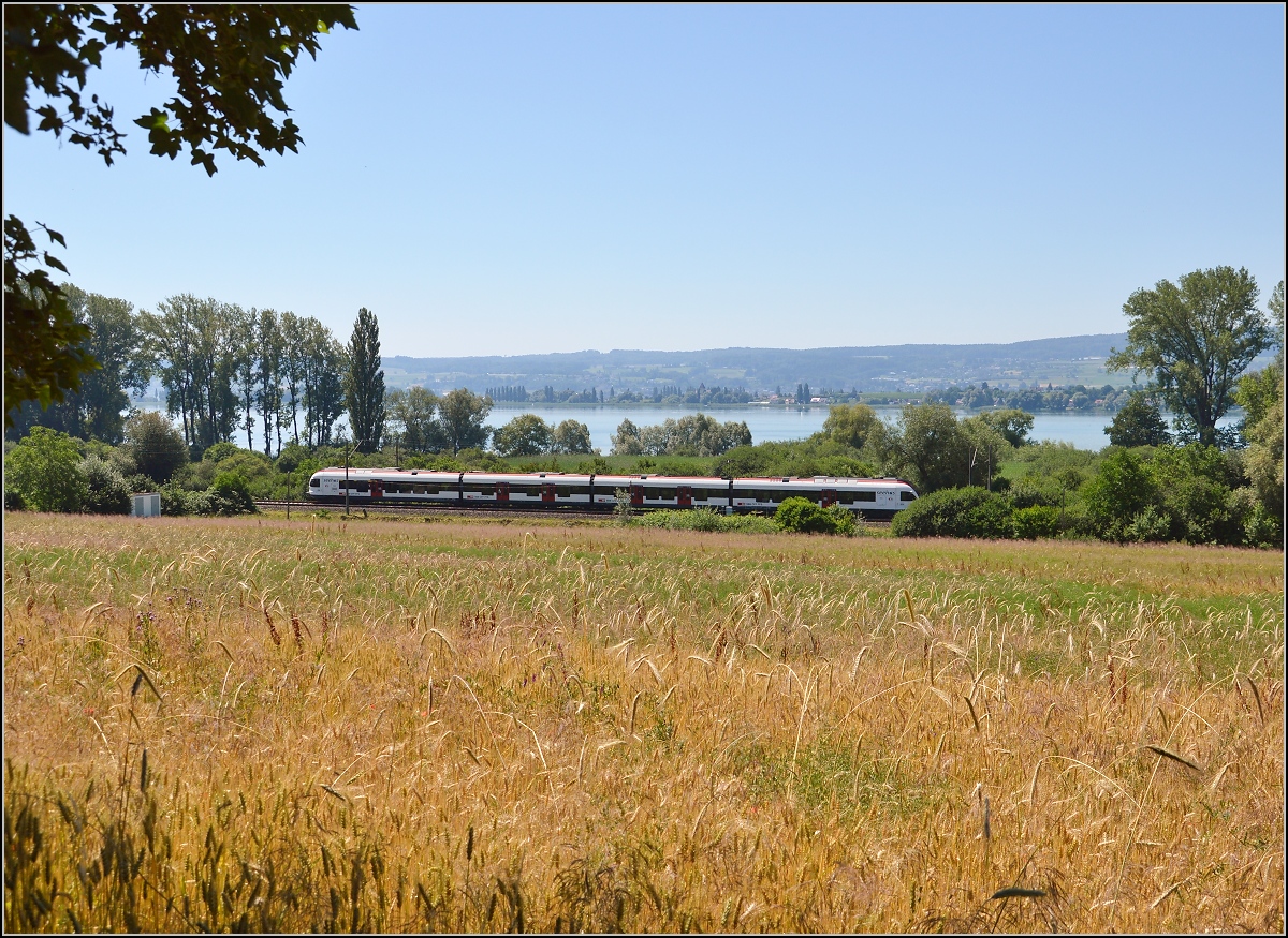 10 Jahre Seehas mit der SBB.

Ein Sommerbild mit Seehas. Allensbach, Juni 2015.