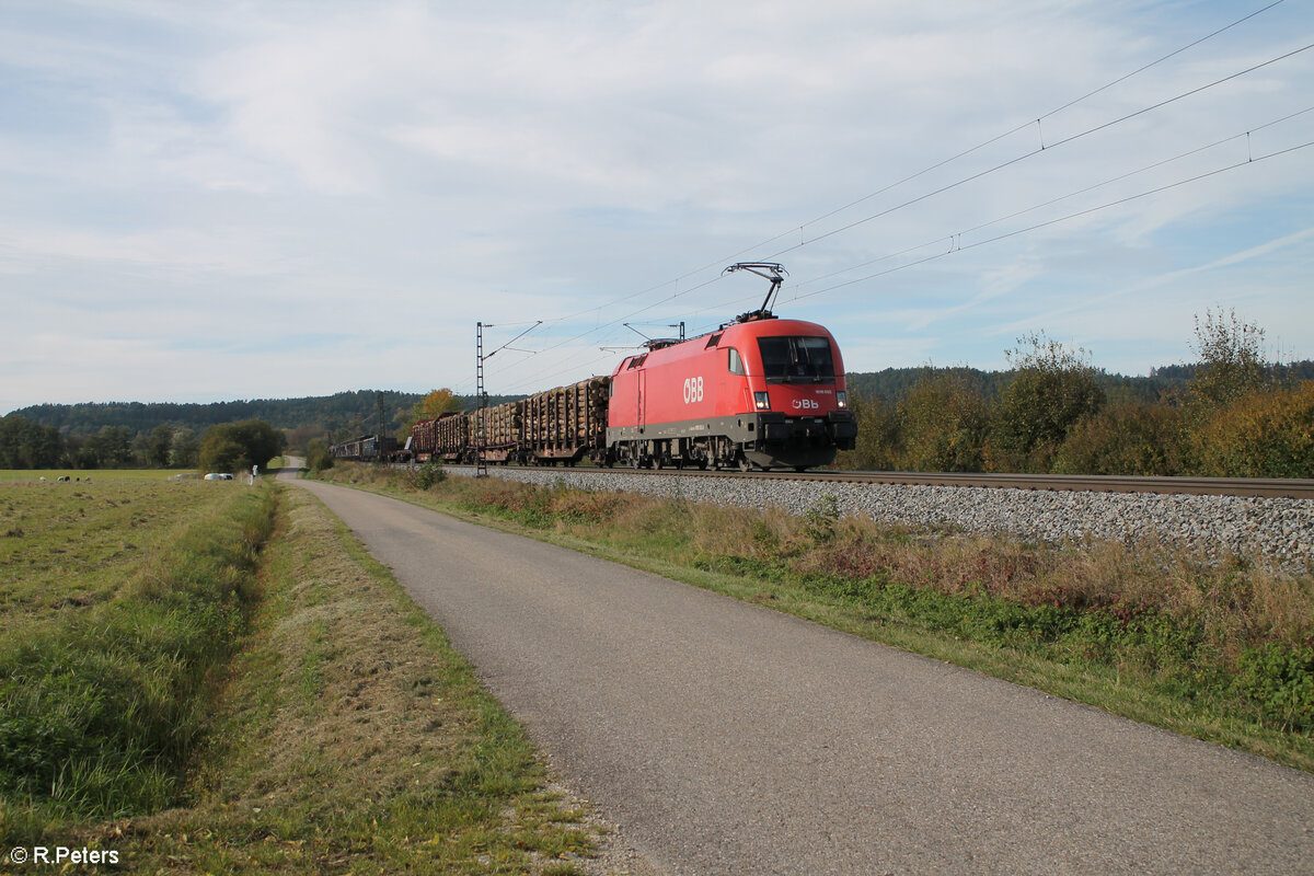 1016 003 zieht mit einem gemischten Güterzug nach Passau bei Pölling vorbei. 17.10.24