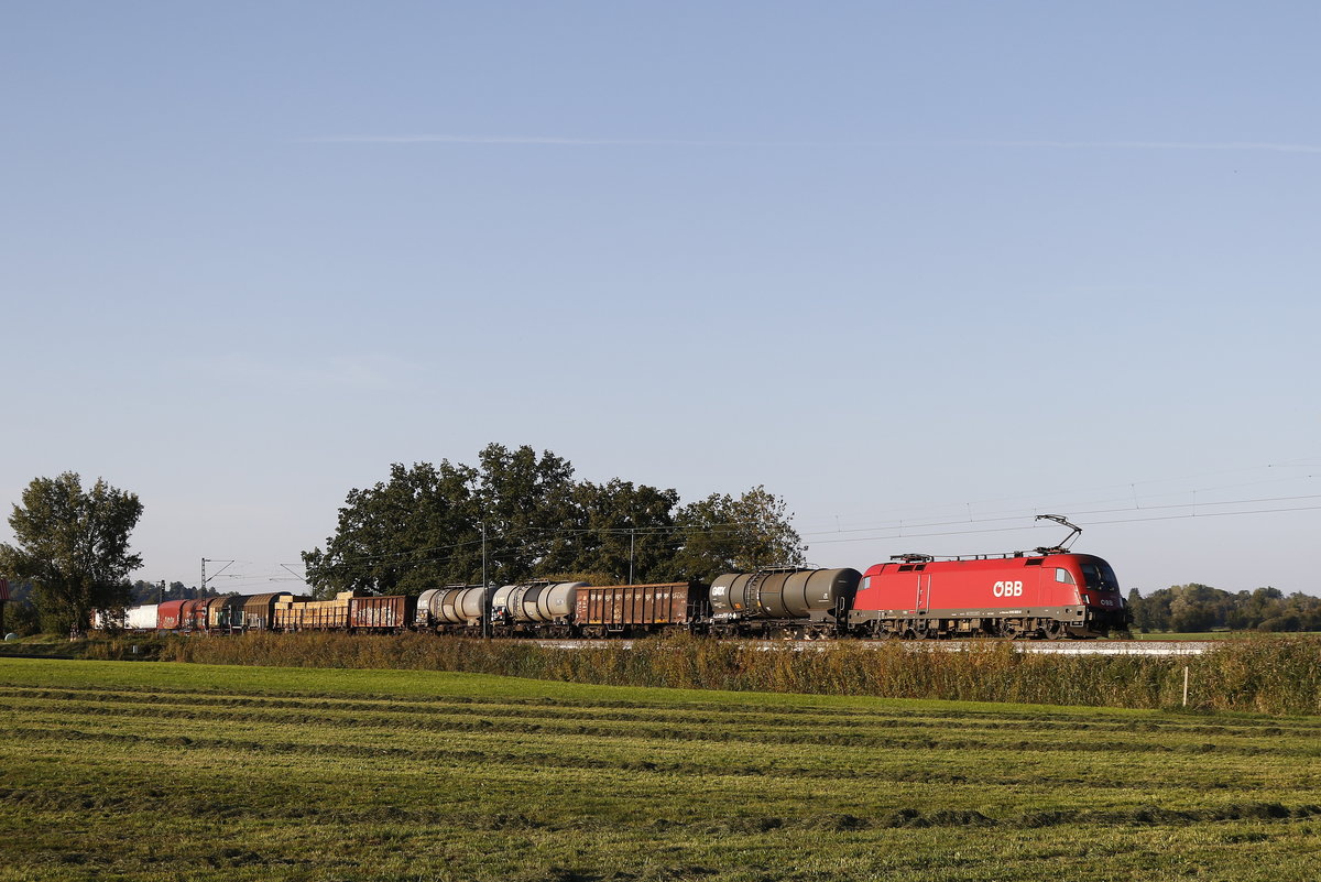 1016 025 war am 20. September 2018 mit einem gemischten Gterzug bei Bernau in Richtung Salzburg unterwegs.