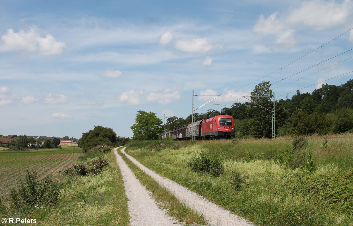 1116 091-8 zieht bei Oberdachstetten ein gedeckten Güterzug in Richtung Süden. 08.06.24