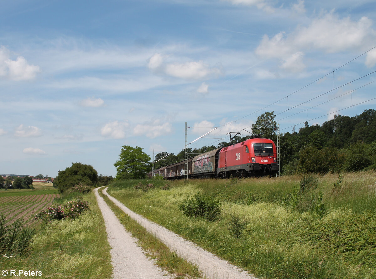 1116 091-8 zieht bei Oberdachstetten ein gedeckten Güterzug in Richtung Süden. 08.06.24