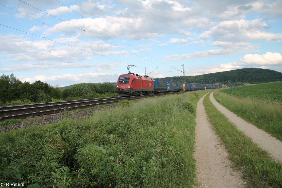 1116 263 zieht bei Treuchtlingen ein LKW-Walterzug in Richtung Norden. 10.06.24
