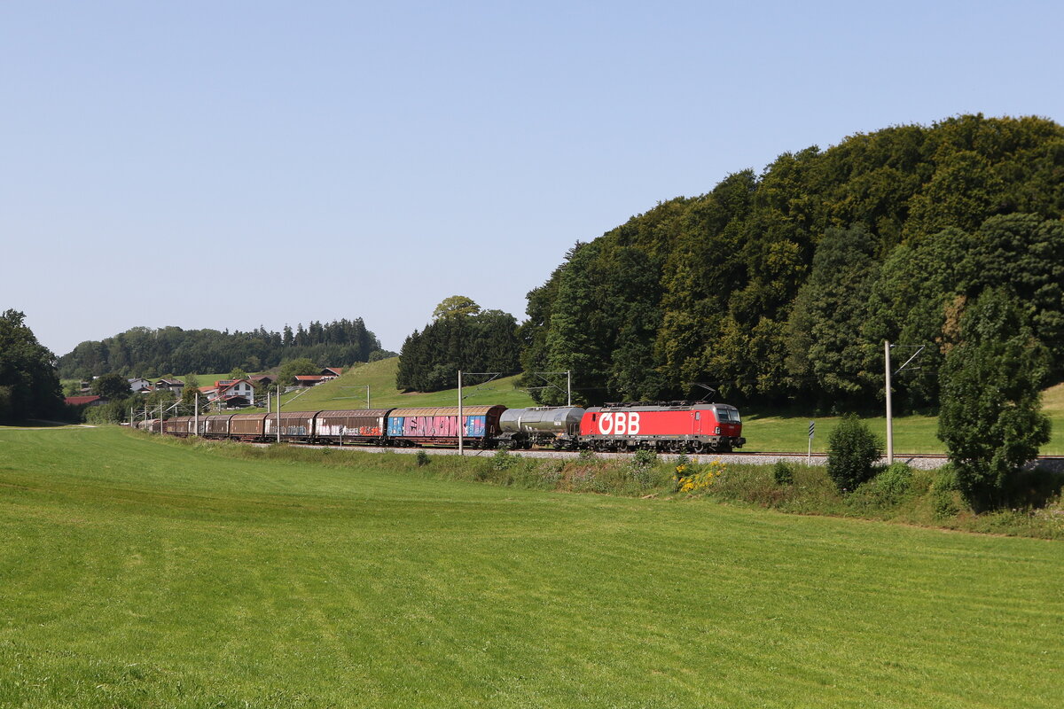 1293 197 mit einem gemischten Gterzug auf dem Weg nach Salzburg. Aufgenommen am 13. August 2025 bei Axdorf im Chiemgau.