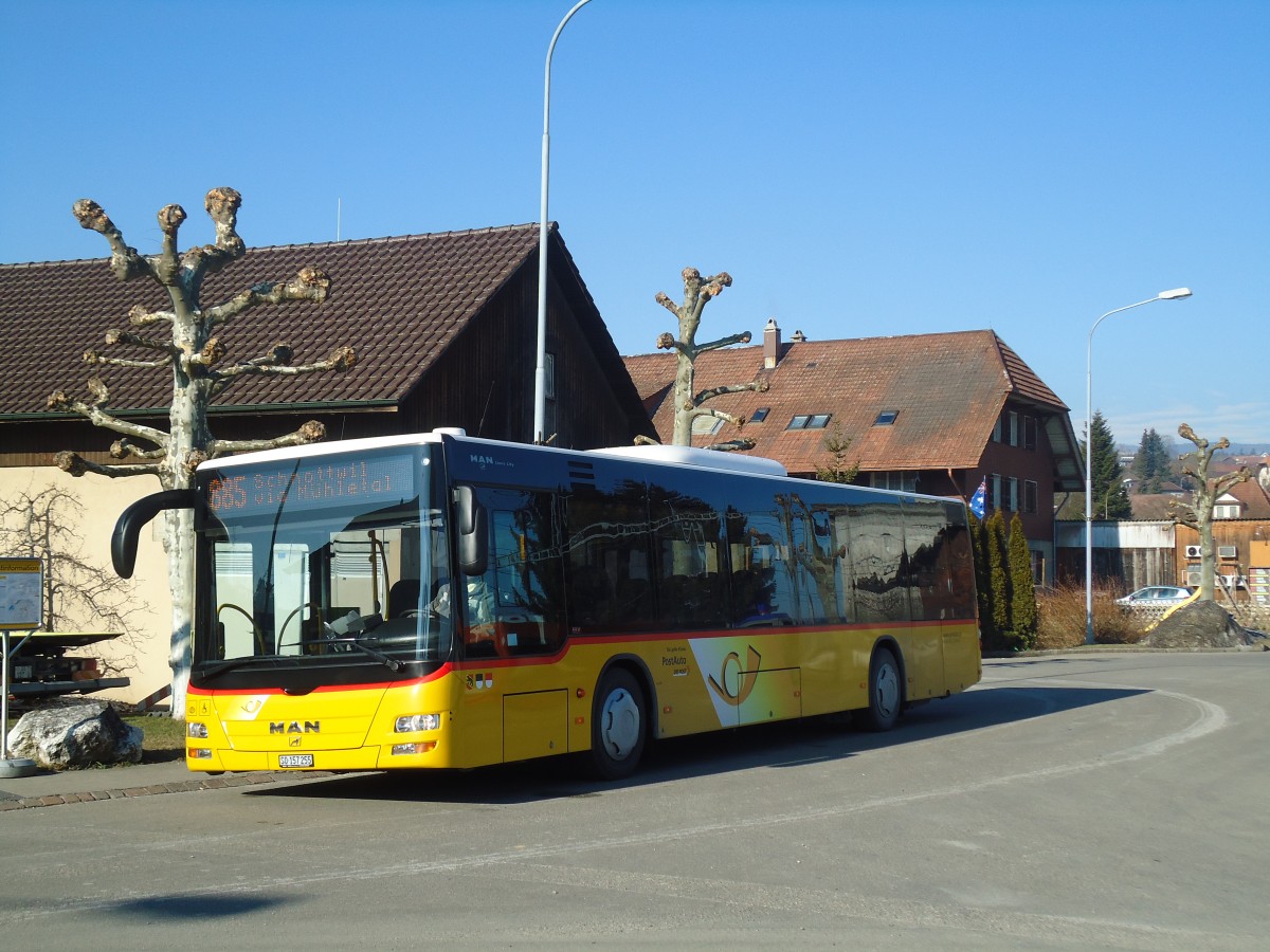 (132'442) - Steiner, Messen - SO 157'255 - MAN am 24. Januar 2011 beim Bahnhof Lohn-Lterkofen