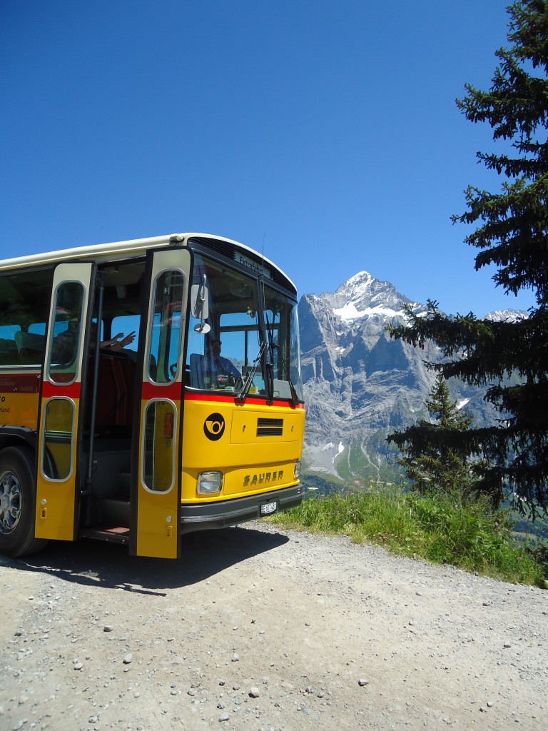 (134'723) - AVG Meiringen - Nr. 74/BE 607'481 - Saurer/R&J (ex P 24'357) am 3. Juli 2011 in Grindelwald, Waldspitz (Teilaufnahme)