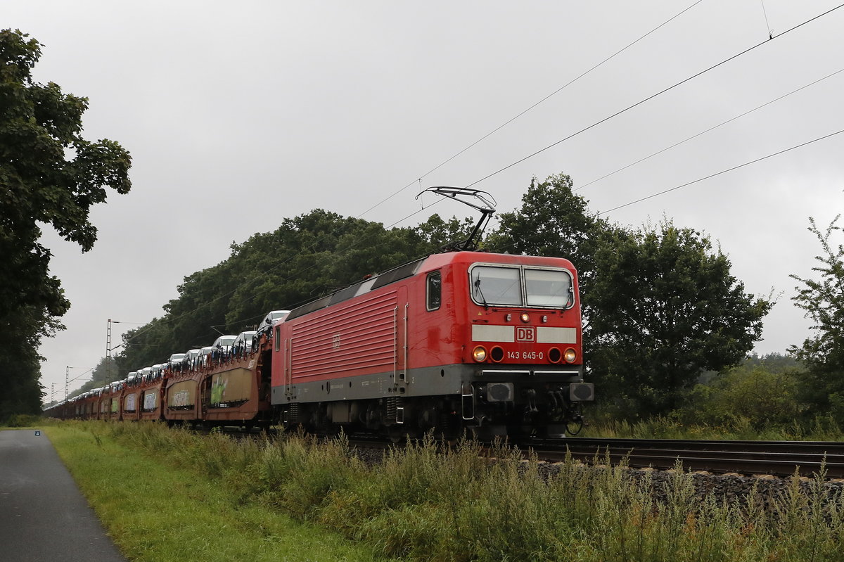 143 645-0 mit einem Autozug am 11. August 2017 bei Drverden.