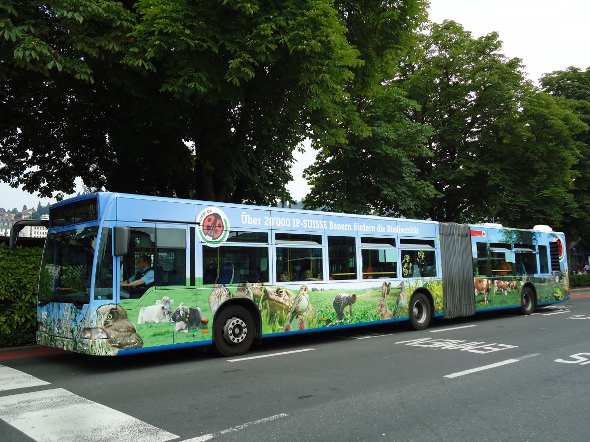 (145'713) - VBL Luzern - Nr. 142/LU 199'442 - Mercedes am 8. Juli 2013 beim Bahnhof Luzern