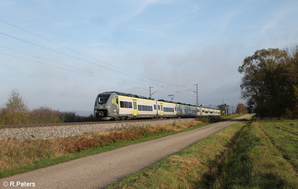 1462 204-6 + 1462 210 als RE50 63068 Plattling - Nürnberg bei Pölling. 26.10.24