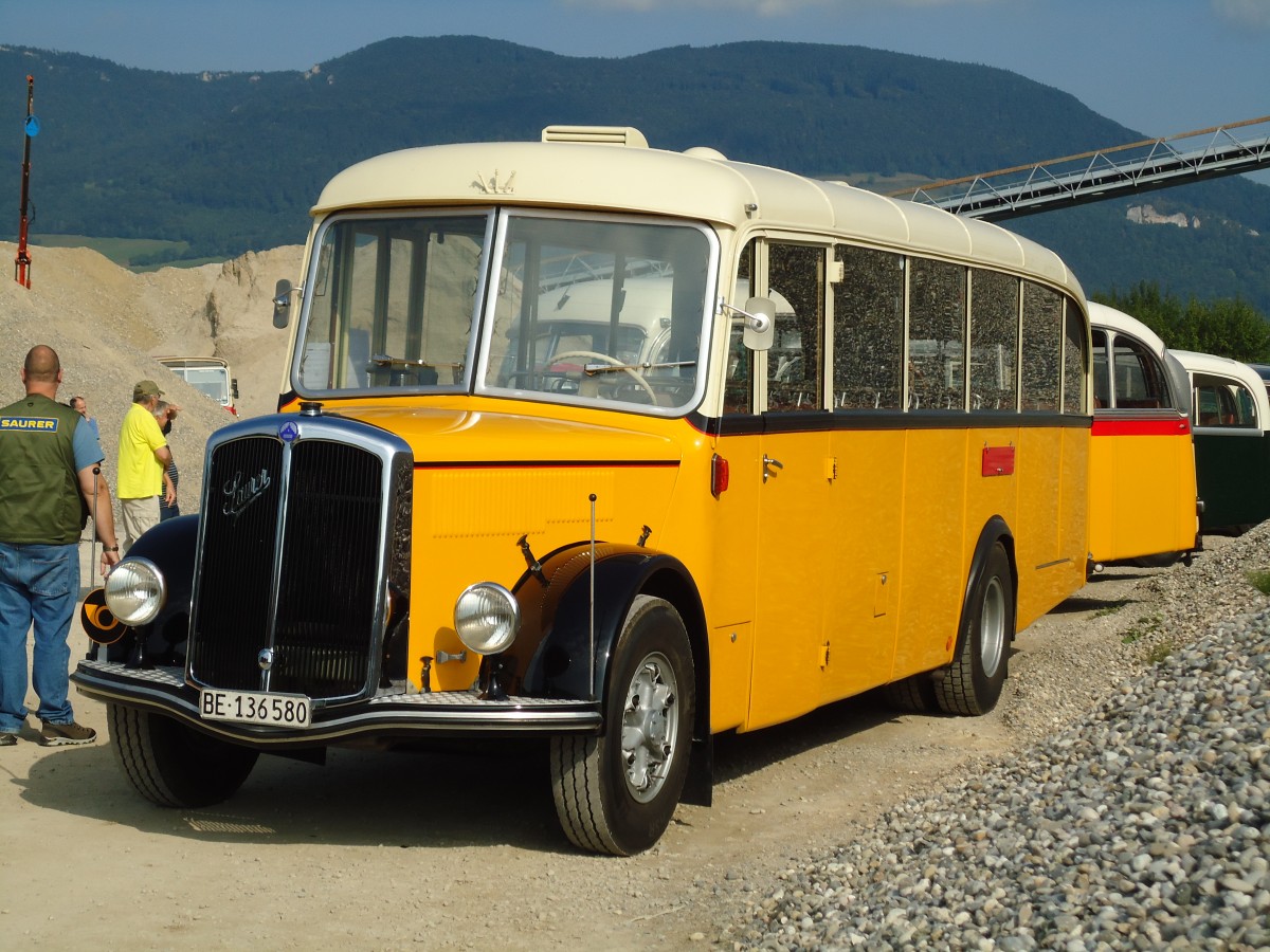 (146'545) - Schumacher, Liebefeld - BE 136'580 - Saurer/FHS-Hess (ex Mittner-Keller, Etzgen; ex Keller, Hottwil) am 31. August 2013 in Niederbipp, Saurertreffen