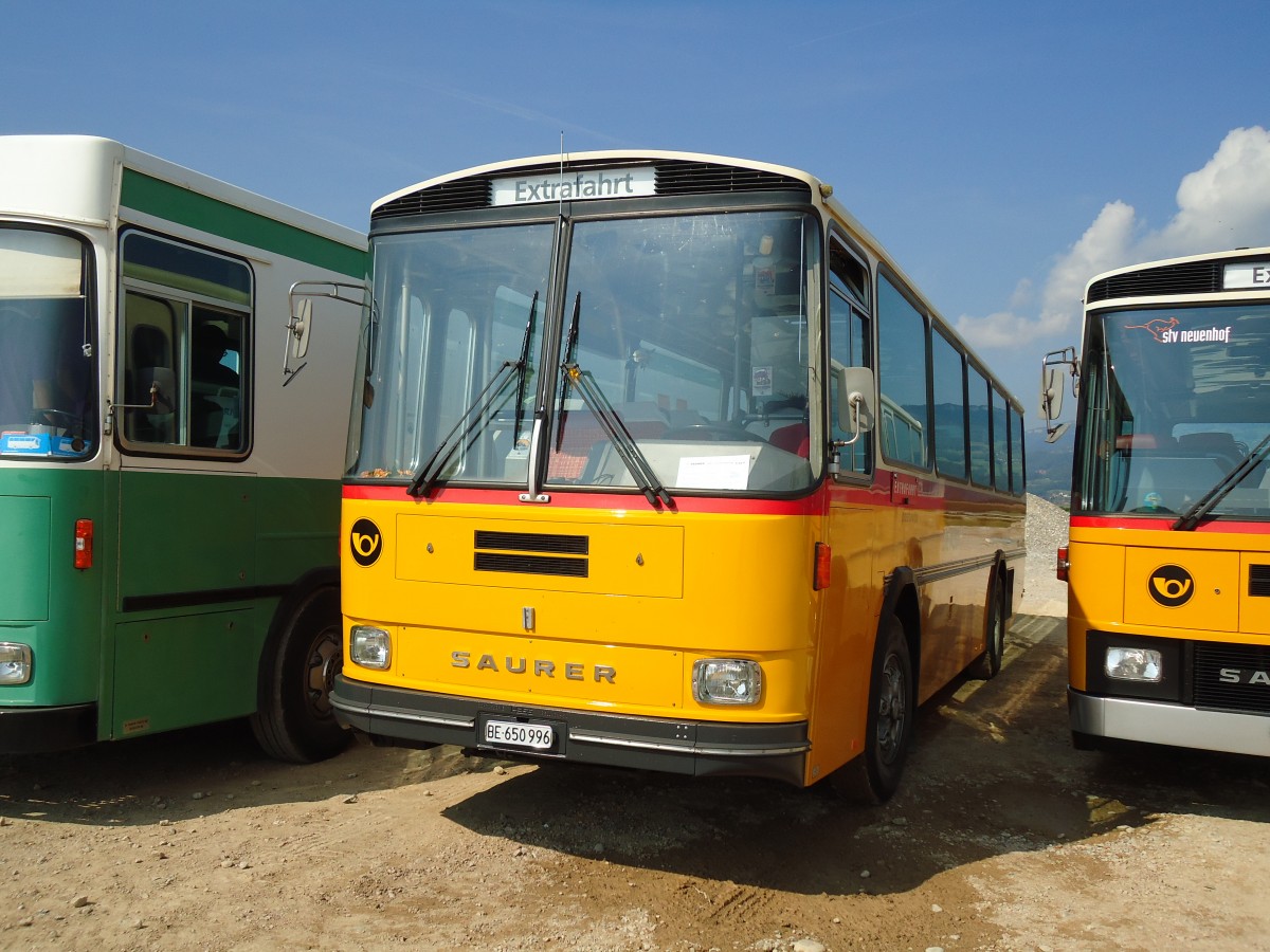 (146'605) - Kammermann, Spiez - BE 650'996 - Saurer/Hess (ex Flury, Balm; ex P 24'233) am 31. August 2013 in Niederbipp, Saurertreffen