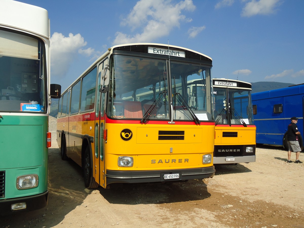 (146'606) - Kammermann, Spiez - BE 650'996 - Saurer/Hess (ex Flury, Balm; ex P 24'233) am 31. August 2013 in Niederbipp, Saurertreffen