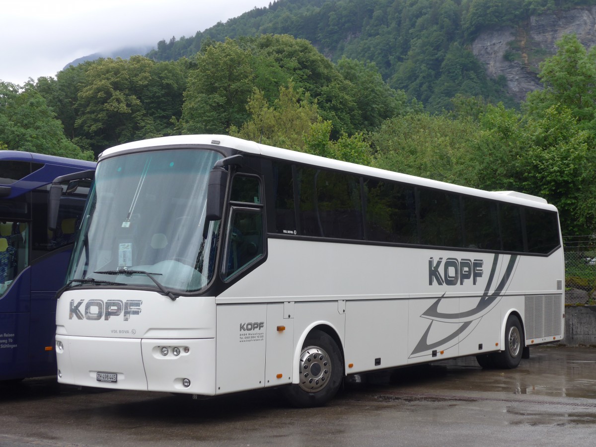 (162'439) - Kopf, Weisslingen - ZH 498'445 - Bova am 21. Juni 2015 in Meiringen, Balm