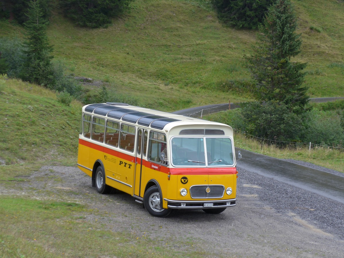 (163'760) - Rentsch, Gunten - BE 823'203 - FBW/Gangloff (ex P 23'203; ex P 21'003) am 23. August 2015 in Habkern, Lombachalp