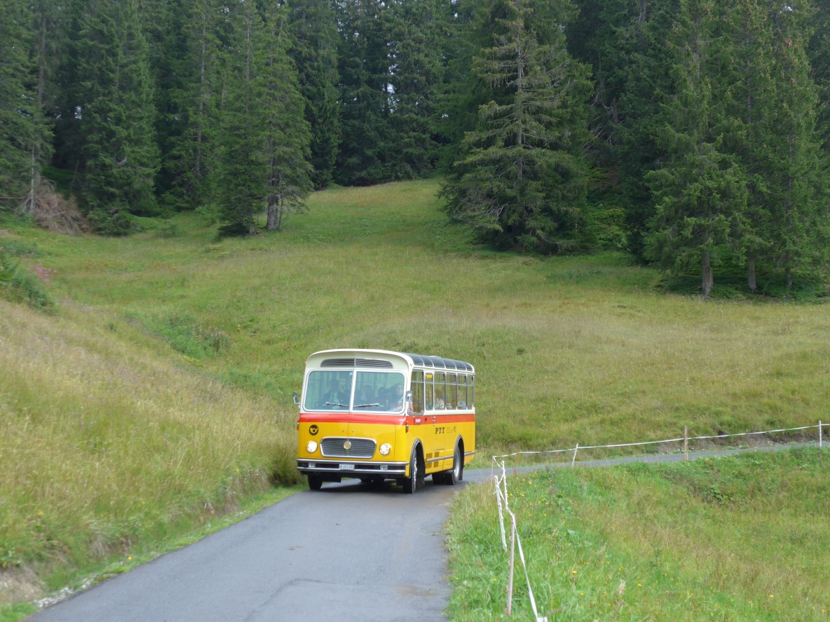 (163'773) - Rentsch, Gunten - BE 823'203 - FBW/Gangloff (ex P 23'203; ex P 21'003) am 23. August 2015 in Habkern, Lombachalp