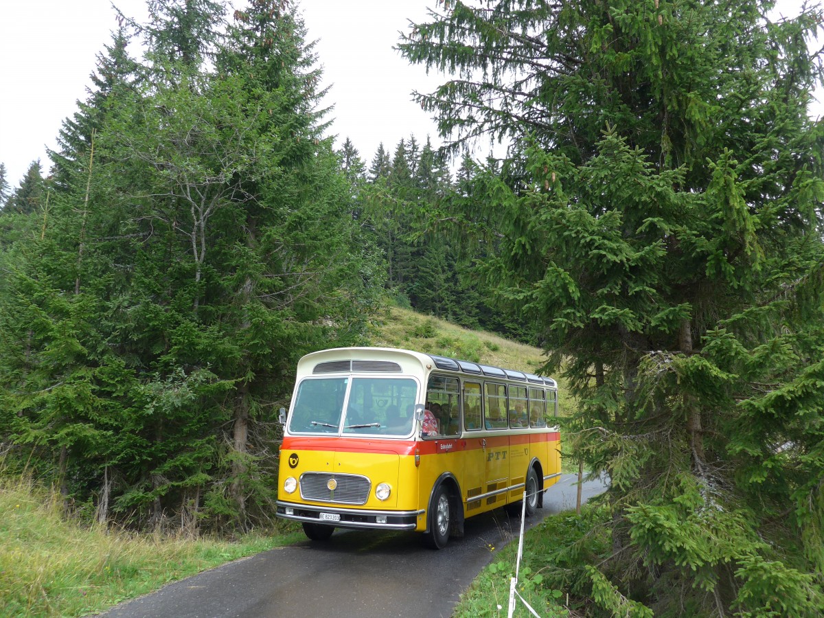 (163'775) - Rentsch, Gunten - BE 823'203 - FBW/Gangloff (ex P 23'203; ex P 21'003) am 23. August 2015 in Habkern, Lombachalp