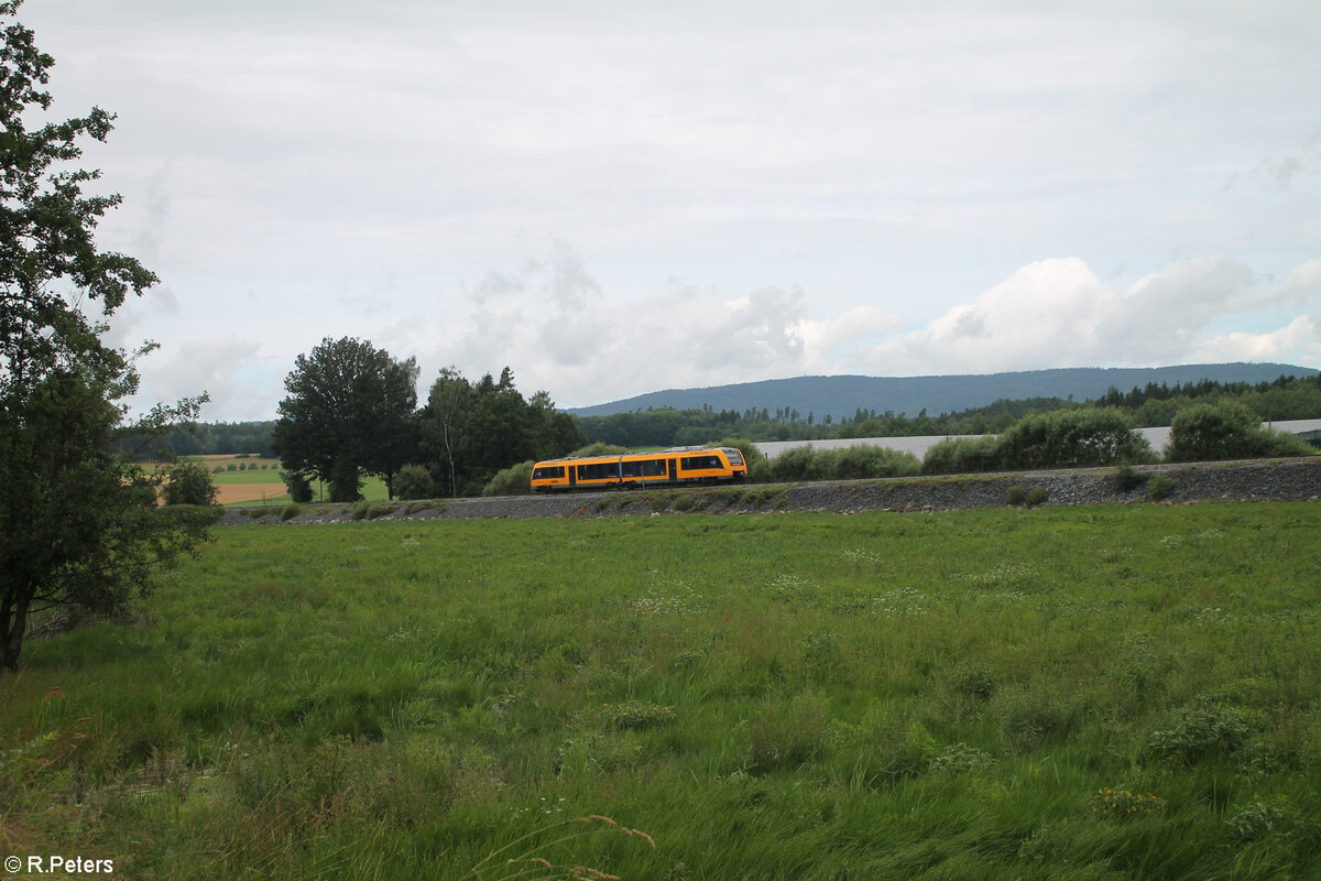 1648 203  Stadt Schwandorf  als OPB RB 93 79718 Regensburg - Marktredwitz am trocken gelegten Rechenweiher 07.07.24