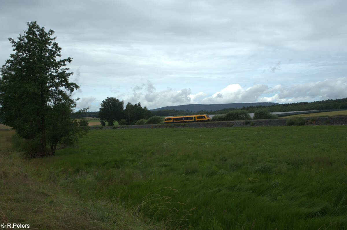 1648 203  Stadt Schwandorf  als OPB RB 93 79718 Regensburg - Marktredwitz am trocken gelegten Rechenweiher 07.07.24