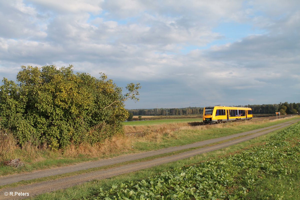 1648 208  Stadt Regensburg  als OPB 79732 Regensburg - Marktredwitz bei Oberteich. 10.10.16
