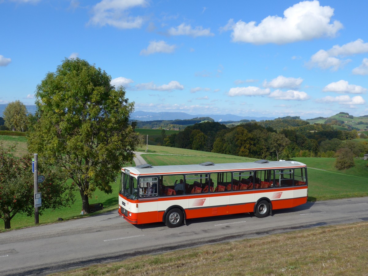 (166'023) - Frey, Opfikon - GL 15'272 - FBW/R&J (ex Tiemann, Oetwil Nr. 20; ex AAGS Schwyz Nr. 20) am 4. Oktober 2015 in Kaltacker, Brgglen