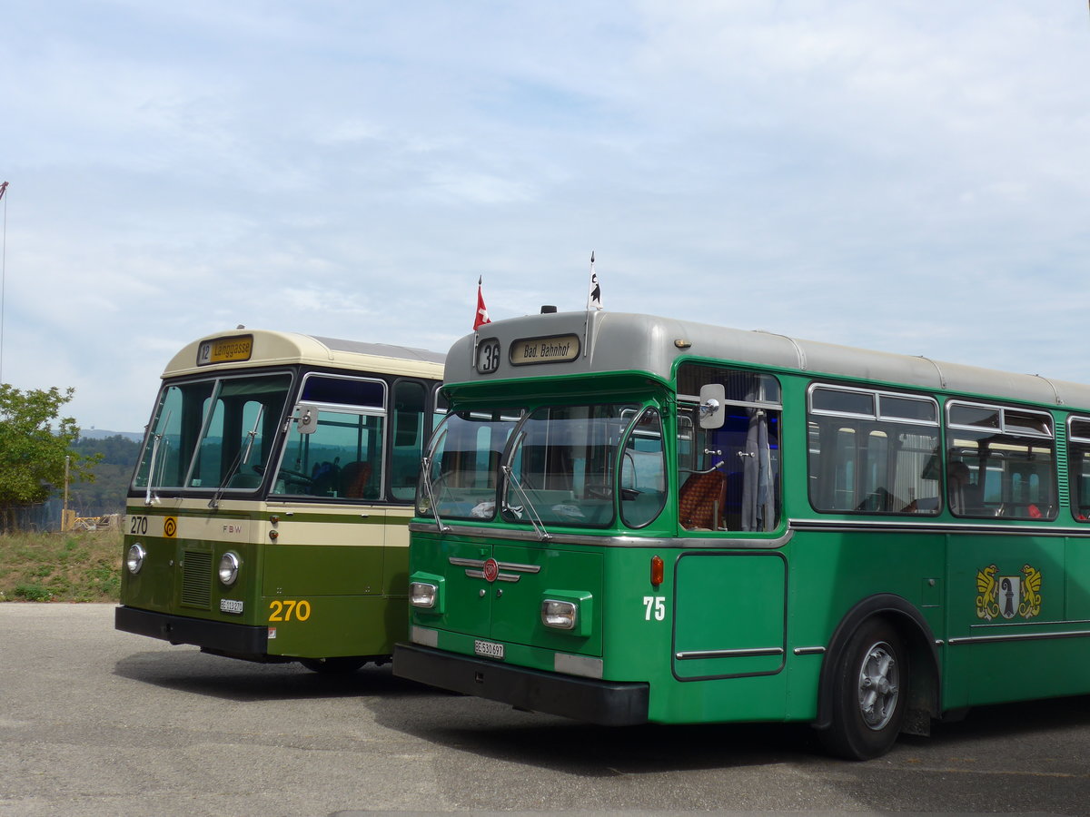 (174'515) - BVB Basel (RWB) - Nr. 75/BE 530'697 - FBW/FHS am 4. September 2016 in Finsterhennen, Landi (Teilaufnahme)