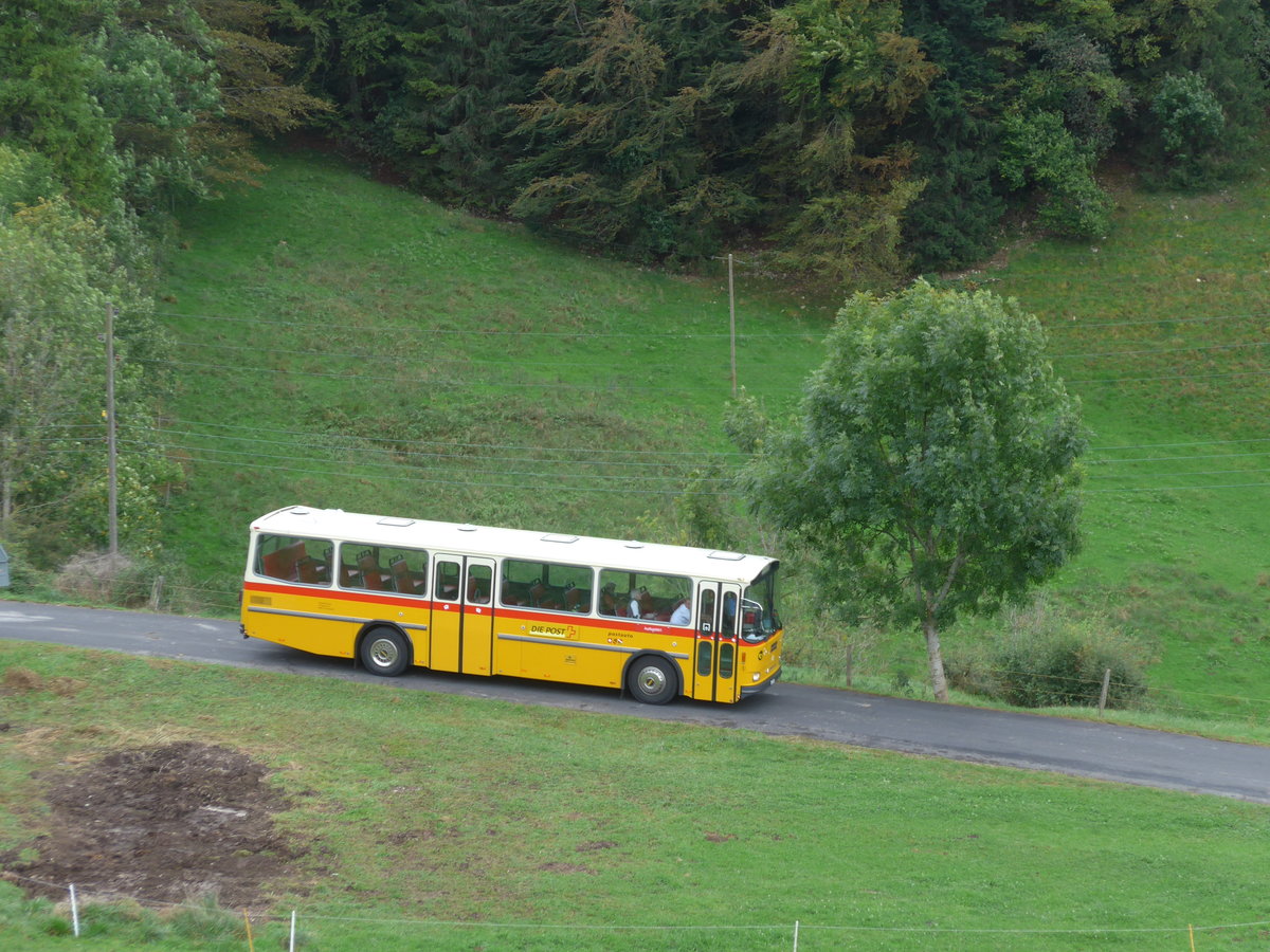 (175'351) - Wthrich, Ursenbach - Nr. 5/BE 10'185 - Saurer/Tscher (ex Schrch, Gutenburg Nr. 5; ex Engeloch, Riggisberg Nr. 5; ex P 25'668) am 2. Oktober 2016 am Scheltenpass (Bernerseite)