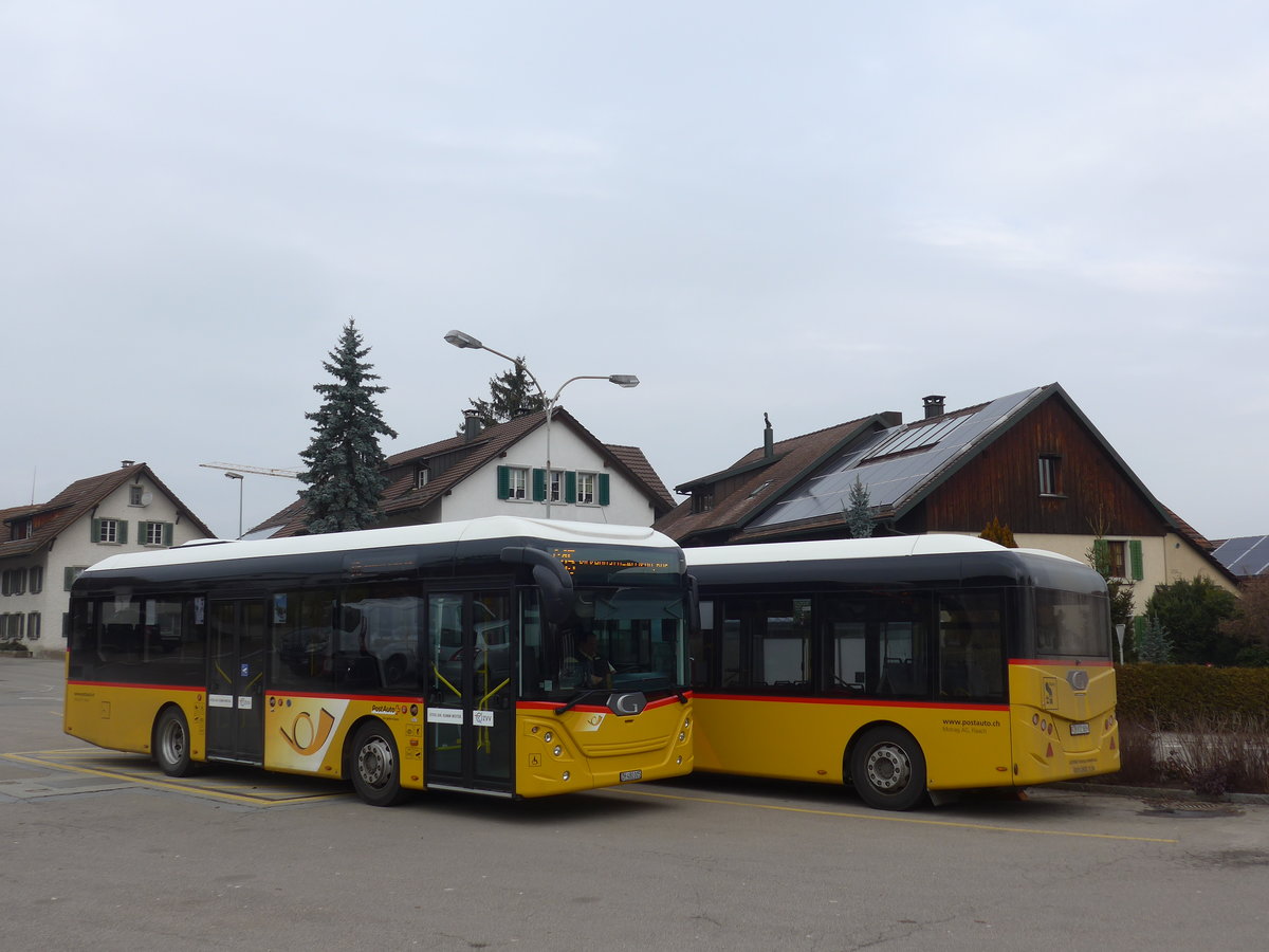 (178'473) - Moser, Flaach - Nr. 289/ZH 480'005 - Gppel am 10. Februar 2017 in Altikon, Brckenwaage