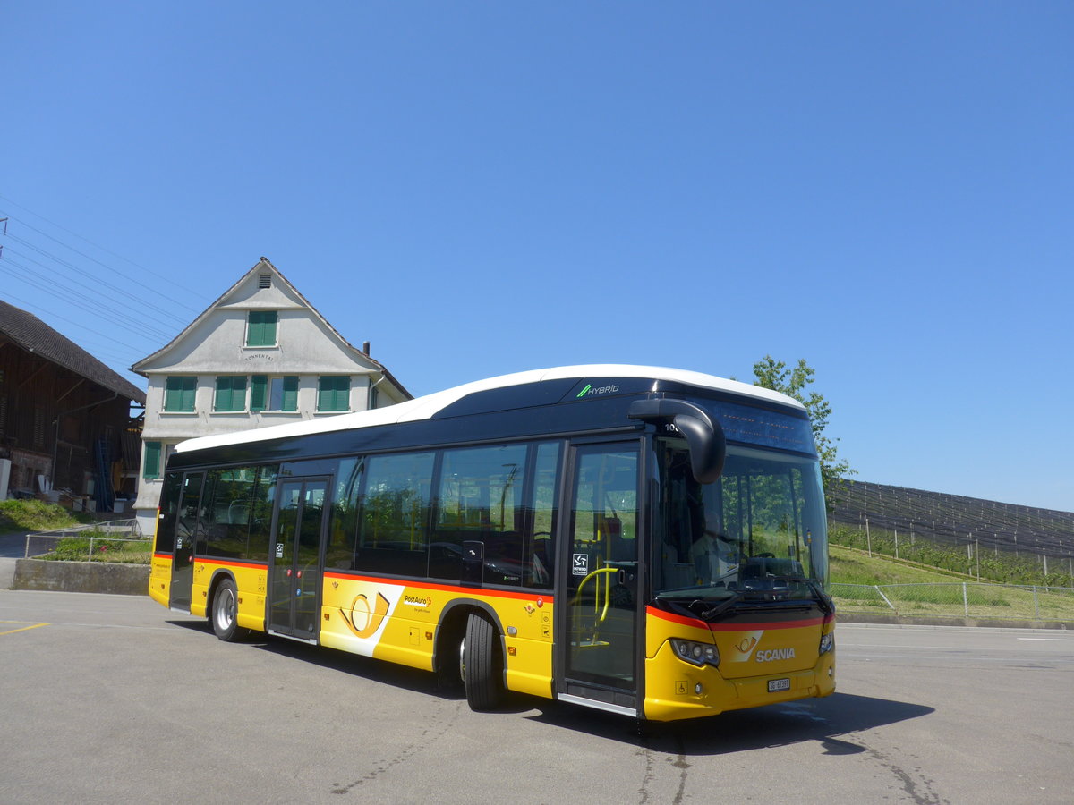 (180'376) - Schwizer, Goldach - SG 67'397 - Scania am 22. Mai 2017 in Goldach, Garage