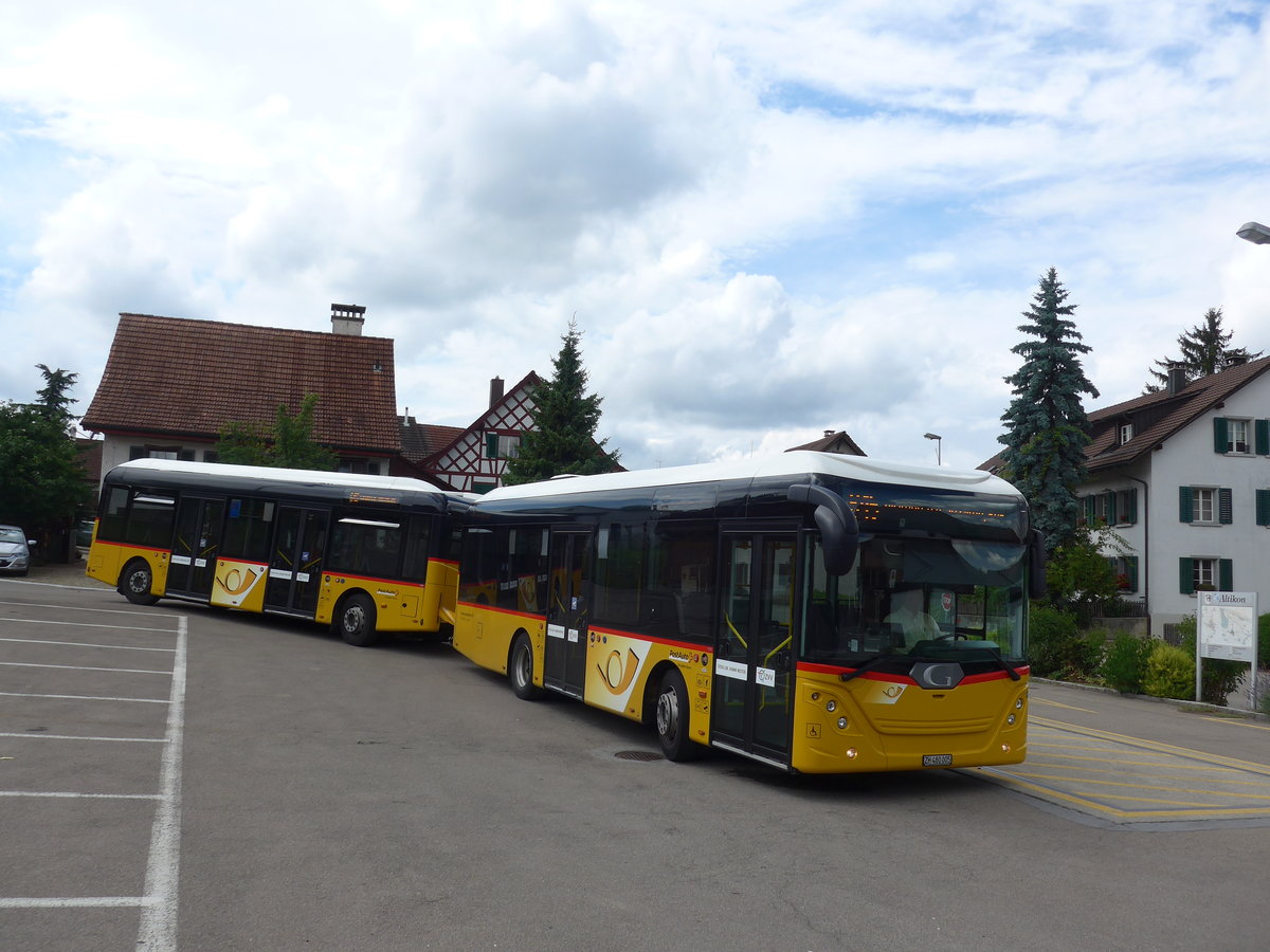 (181'992) - Moser, Flaach - Nr. 289/ZH 480'005 - Gppel am 10. Juli 2017 in Altikon, Brckenwaage