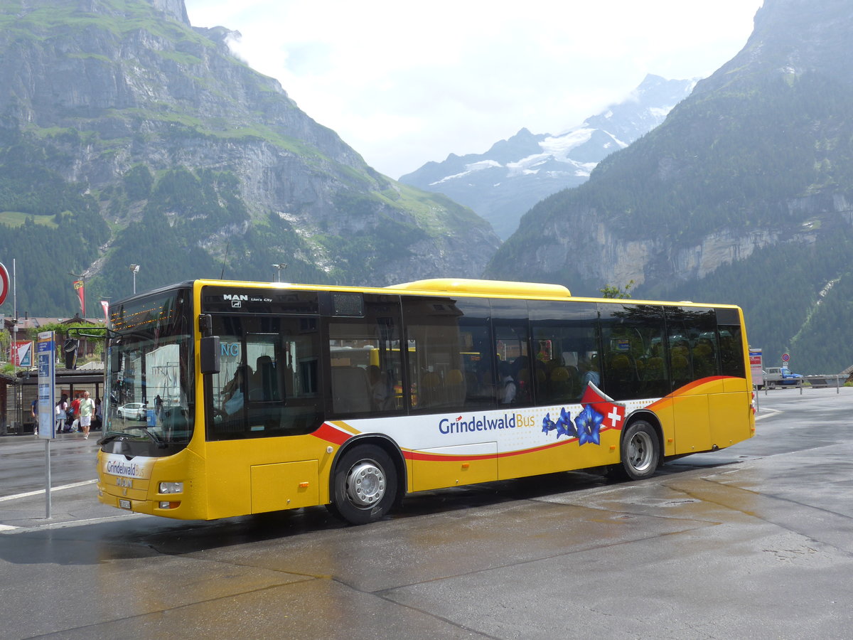 (182'393) - AVG Grindelwald - Nr. 14/BE 202'568 - MAN/Gppel am 30. Juli 2017 beim Bahnhof Grindelwald