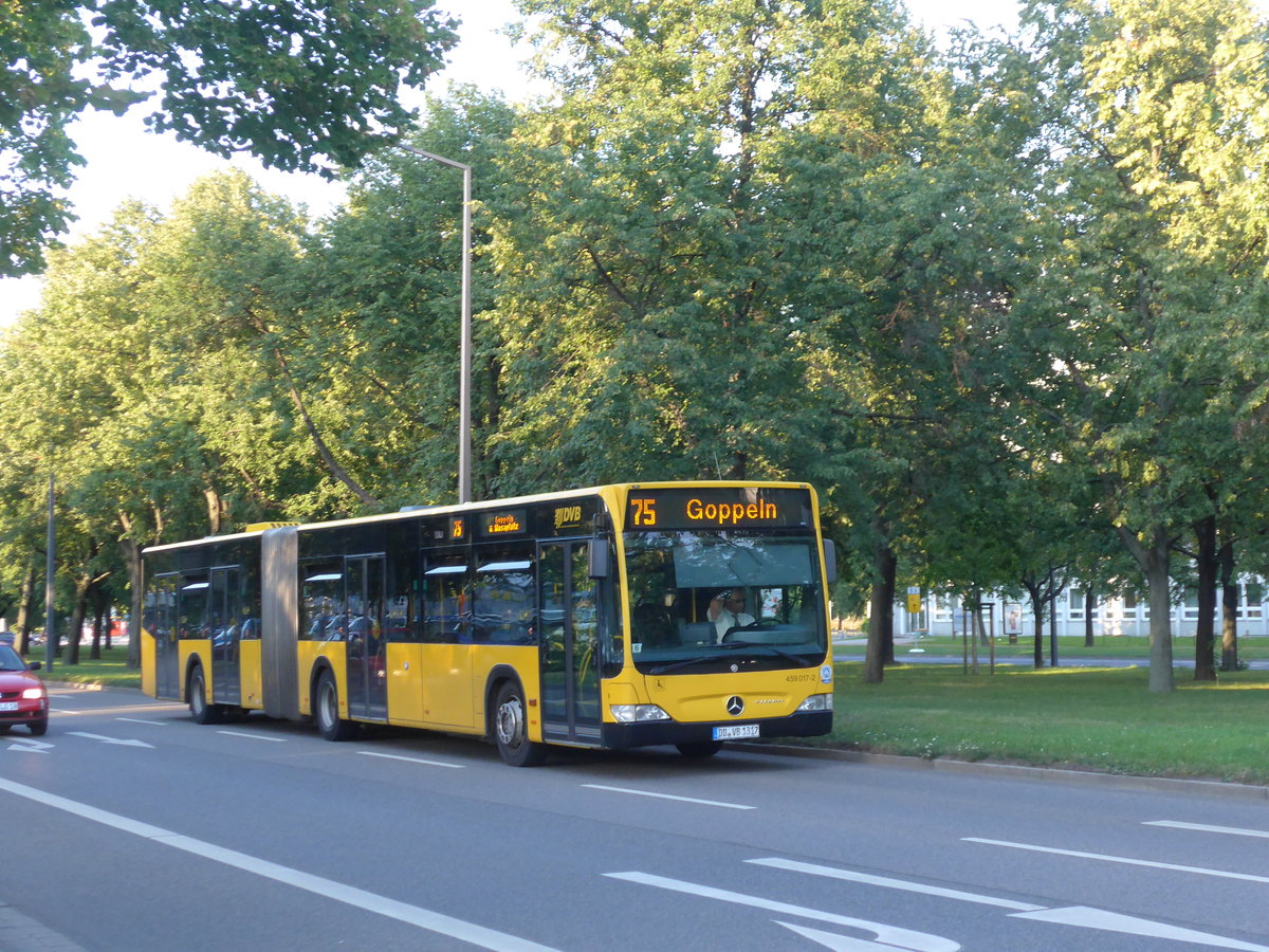 (183'105) - DVB Dresden - Nr. 459'017/DD-VB 1317 - Mercedes am 8. August 2017 in Dresden, Lingnerallee