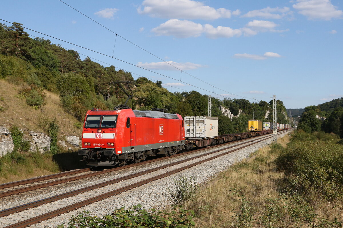 185 054 mit einem Containerzug am 9. August 2022 bei Hagenacker im Altmhltal.