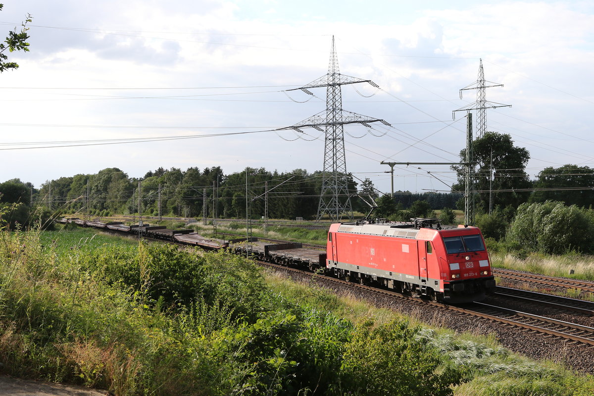 185 213 mit Flachwagen am 29. Juni 2020 bei Langwedel.