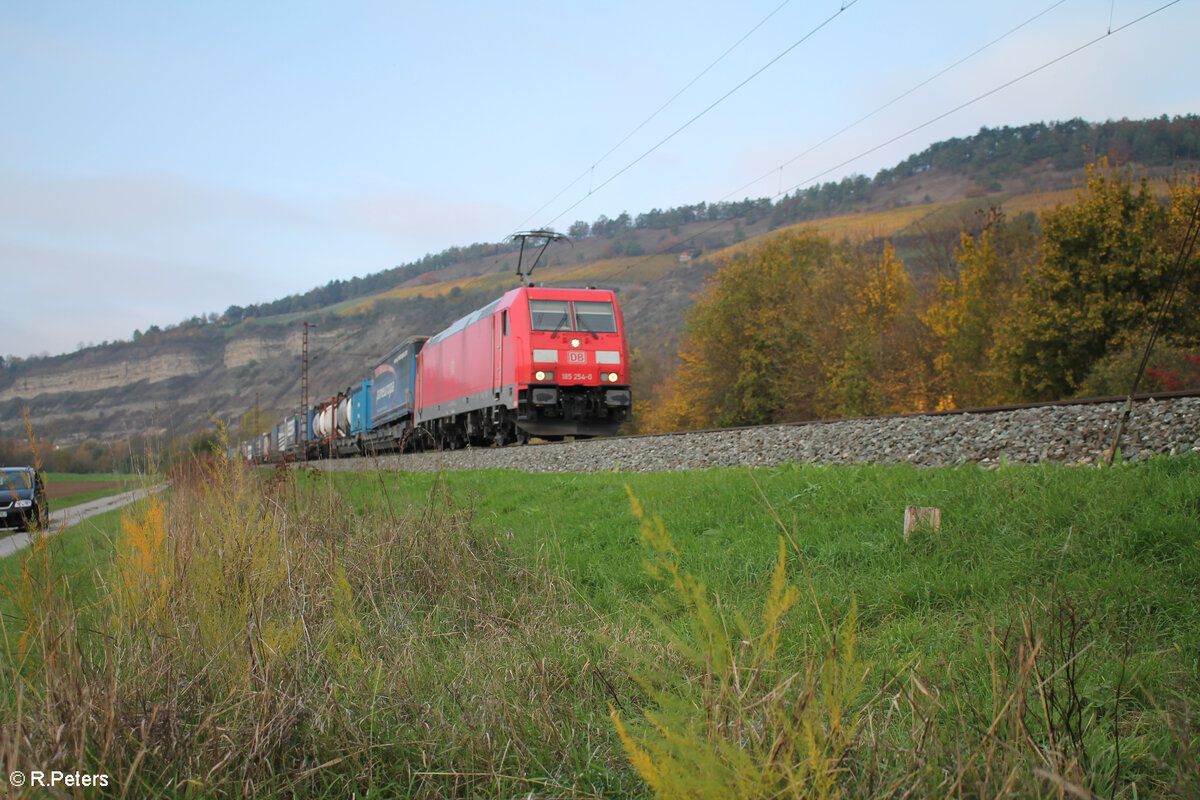 185 254-0 zieht mit einem Wechselpritschenzug Paneuropa/Terra Trans bei Thüngersheim. 27.10.24