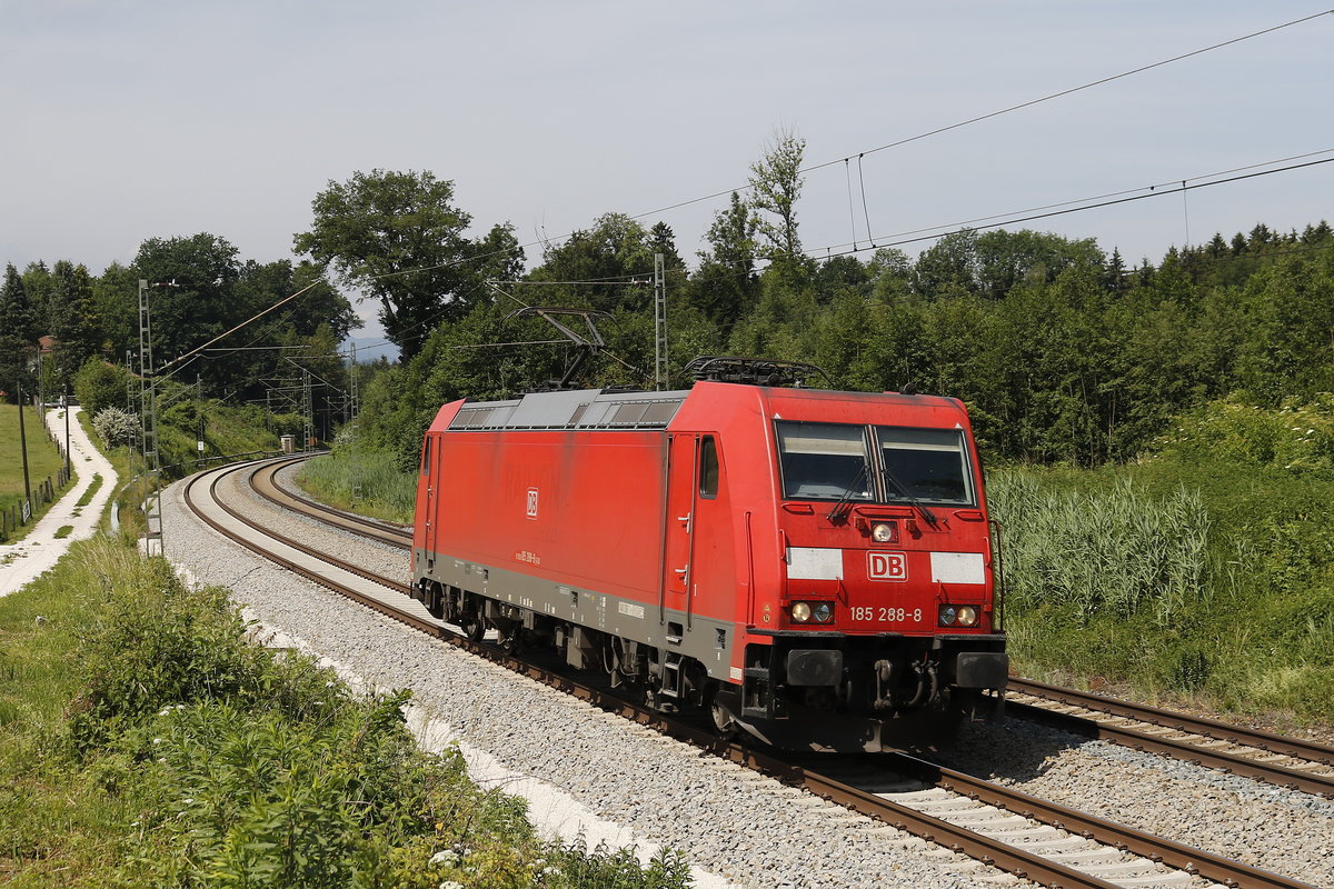 185 288 war am 8. Juni 2018 bei Grabensttt in Richtung Freilassing unterwegs.