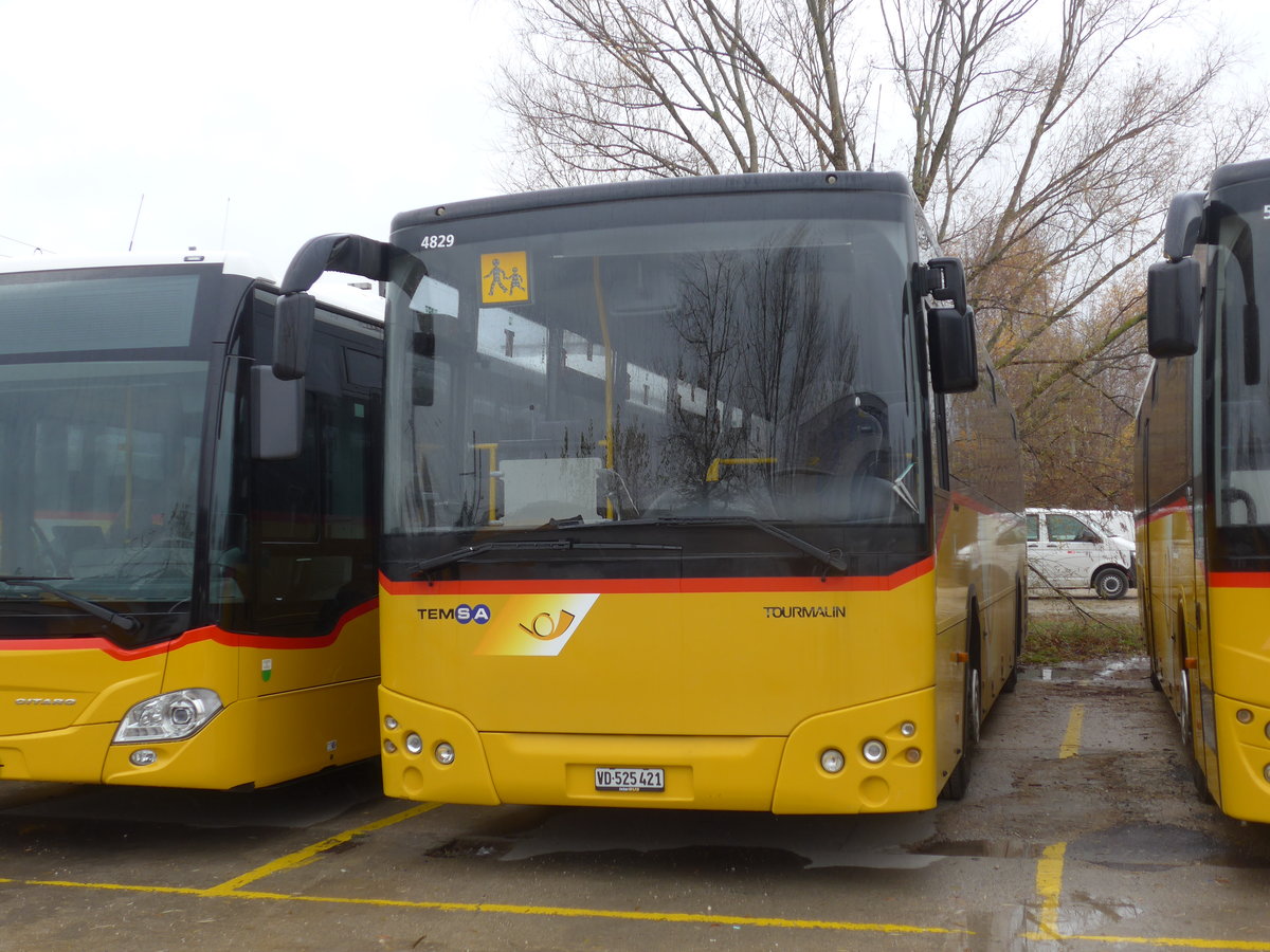 (186'650) - CarPostal Ouest - VD 525'421 - Temsa am 25. November 2017 in Yverdon, Garage