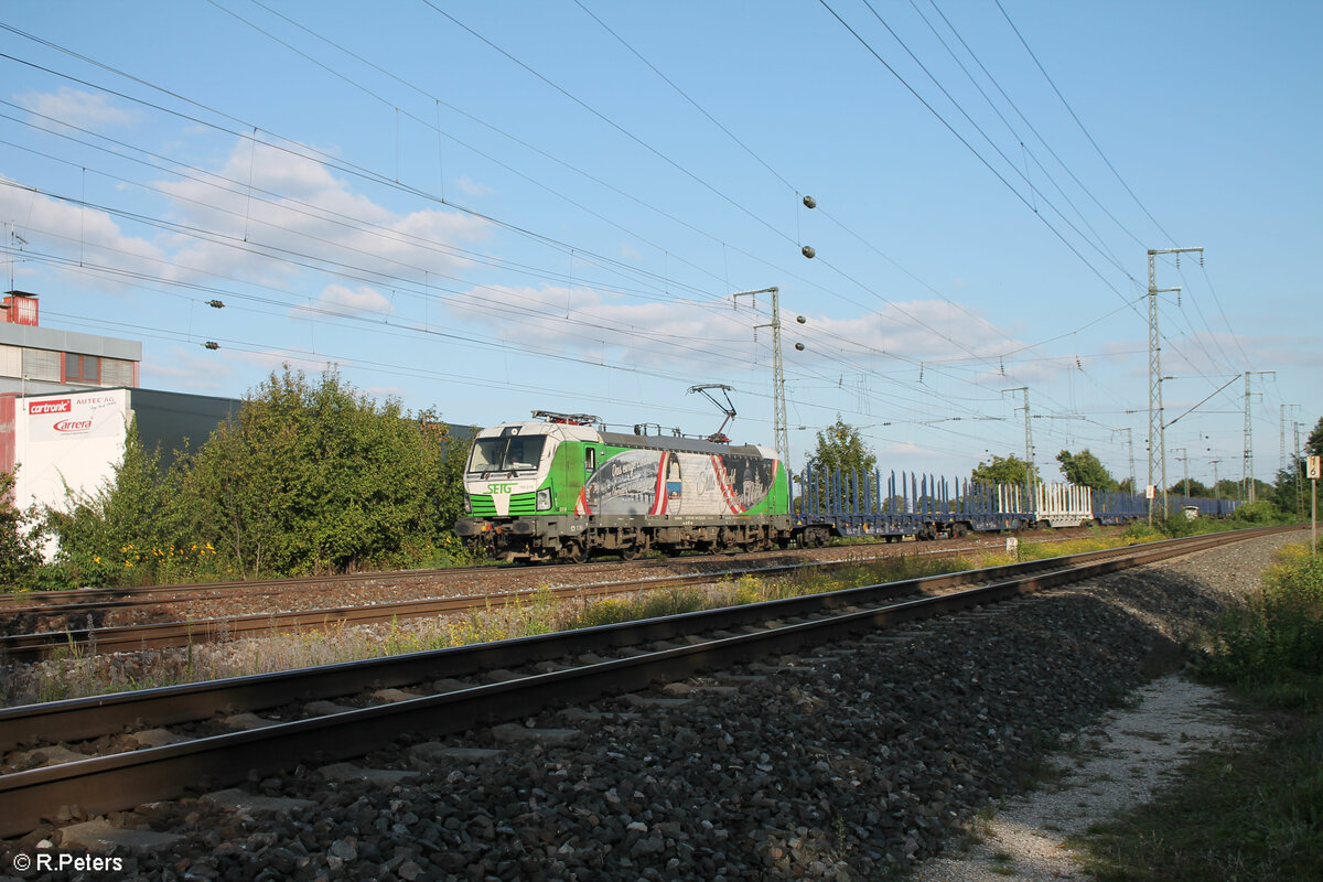 193 219-3  Stille Nacht  mit einem leeren Holztransportzug in Nürnberg Hohe Marta. 27.09.23