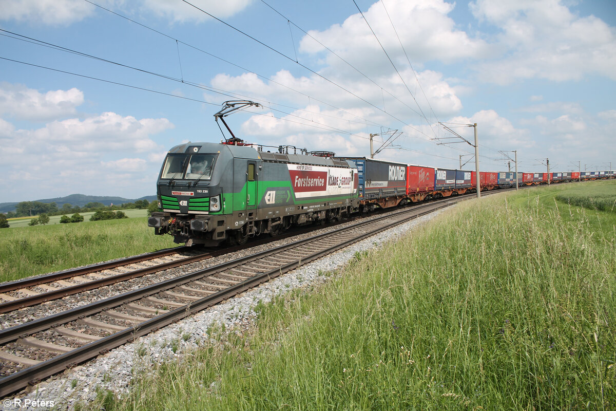 193 230-0 an Frachtbahn vermietet mit der Werbung  Forstservice  zieht ein KLV-Zug bei Uffenheim in Richtung Würzburg. 04.06.24