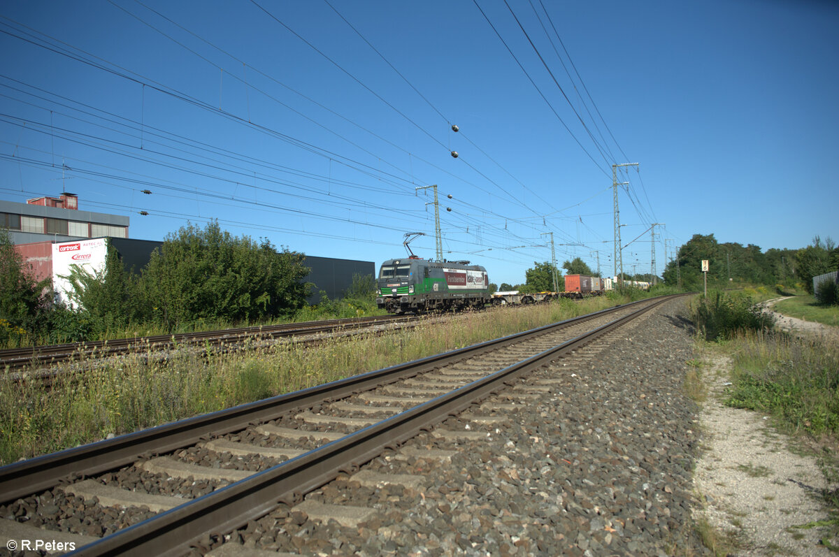 193 230-0 zieht mit einem Containerzug durch Nürnberg Hohe Marter. 11.08.24