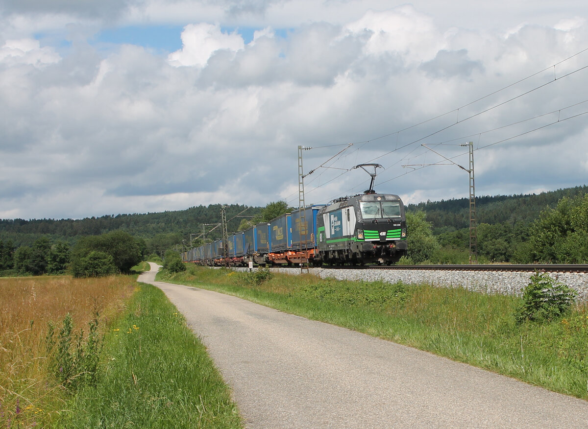 193 235 zieht bei Pölling ein LKW-Walter Zug in Richtung Süden. 13.07.24