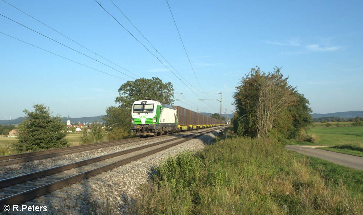 193 240  Steinadler  zieht ein umgeleiteten Ziegler Hackschnitzelzug aus Wiesau/Oberpfalz bei Pölling nach Norden. 28.08.24