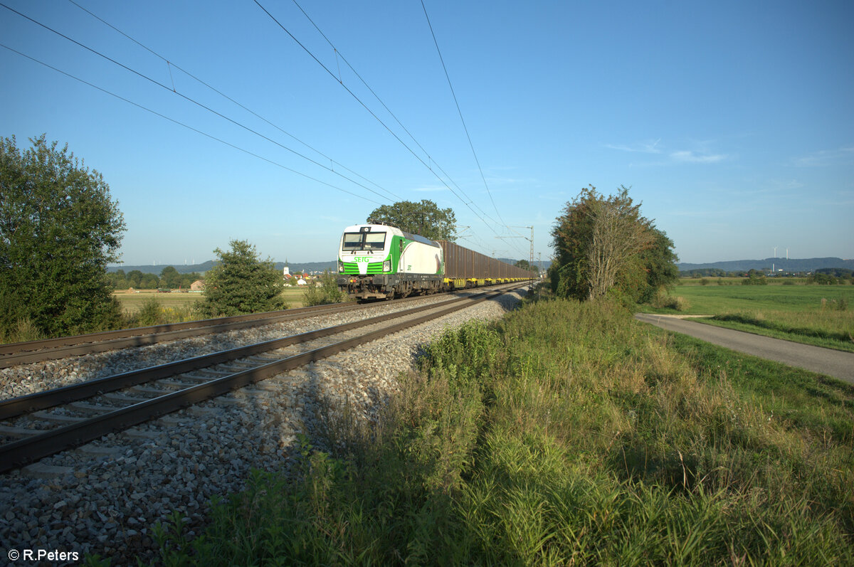 193 240  Steinadler  zieht ein umgeleiteten Ziegler Hackschnitzelzug aus Wiesau/Oberpfalz bei Pölling nach Norden. 28.08.24