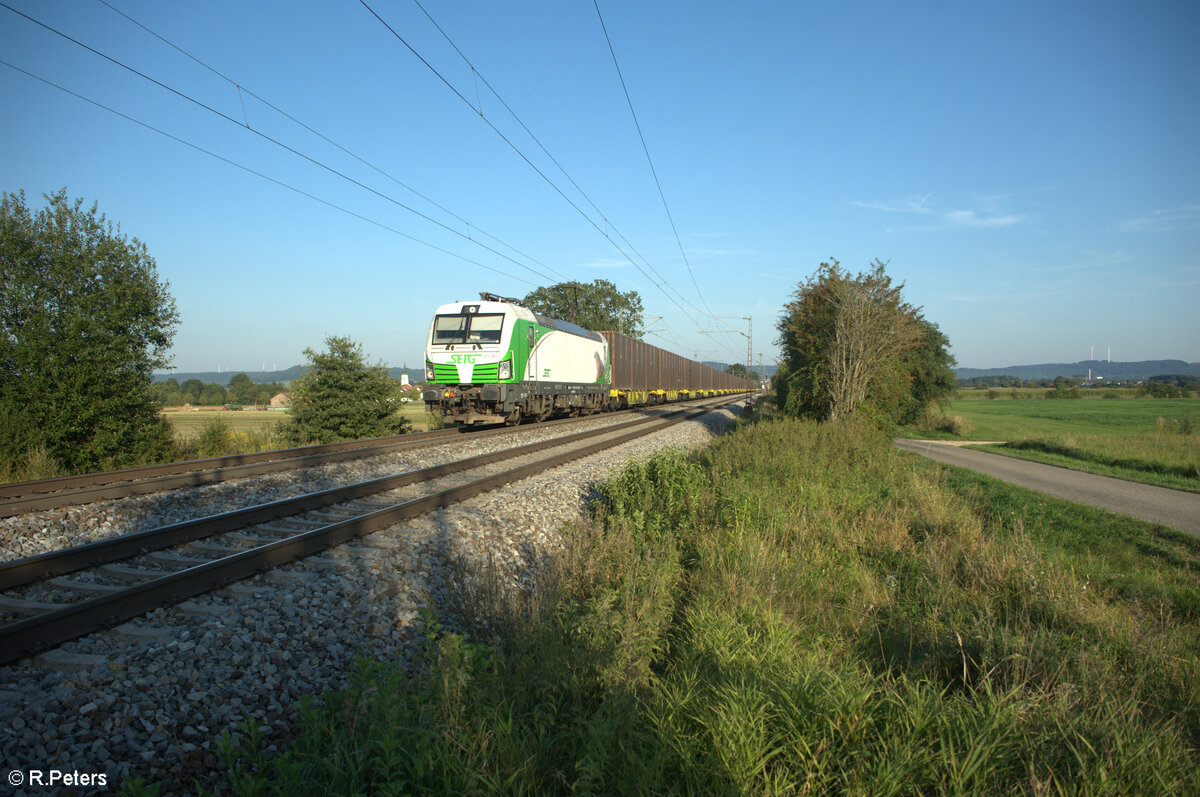193 240  Steinadler  zieht ein umgeleiteten Ziegler Hackschnitzelzug aus Wiesau/Oberpfalz bei Pölling nach Norden. 28.08.24