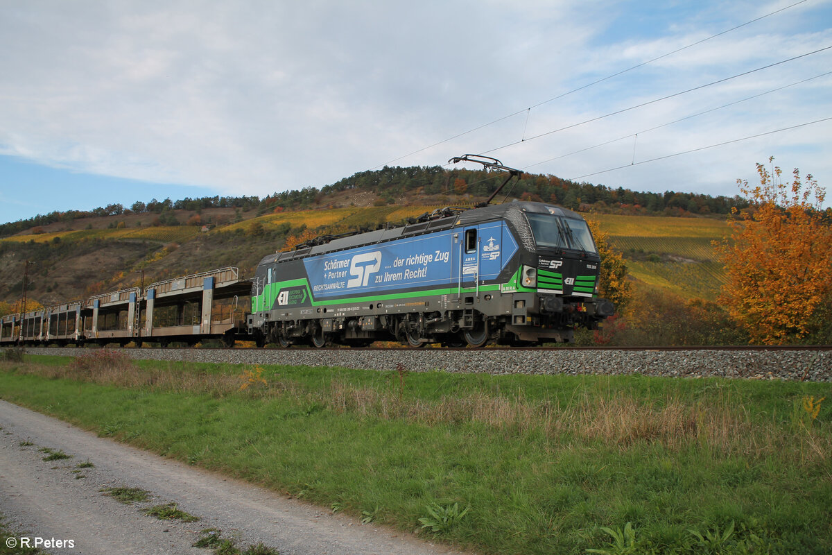 193 269  Schörmer+Partner Rechtsanwälte Der Richtige Zug zu ihrem Recht  zieht ein leeren Autotransportzug bei Thüngersheim. 21.10.24