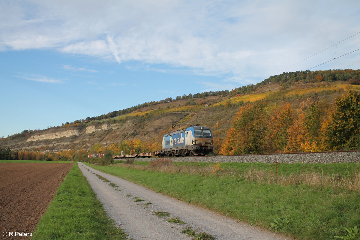 193 843-0 zieht mit einem fast leeren Containerzug bei Thüngersheim in Richtung Süden. 21.10.24
