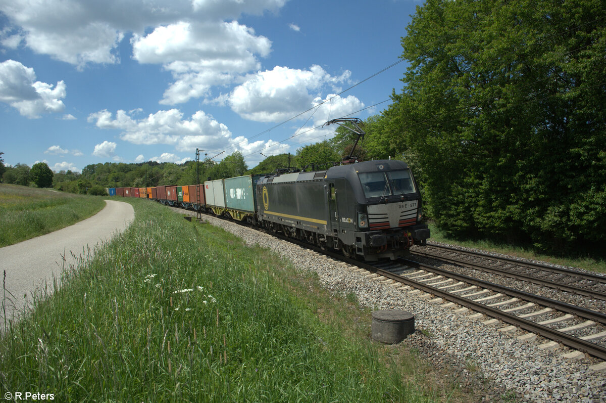 193 877 alias X4E 877 mit einem Containerzug bei P�lling. 14.05.24