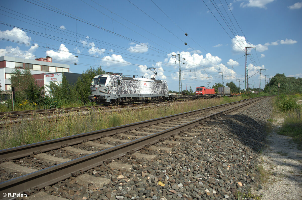 193 997-4 Pferdelok  Wir bringen die Kraft von 8500 Pferde auf die Schiene  zieht mit einem Wechselpritschenzug durch Nürnberg Hohe Marter. 13.08.24