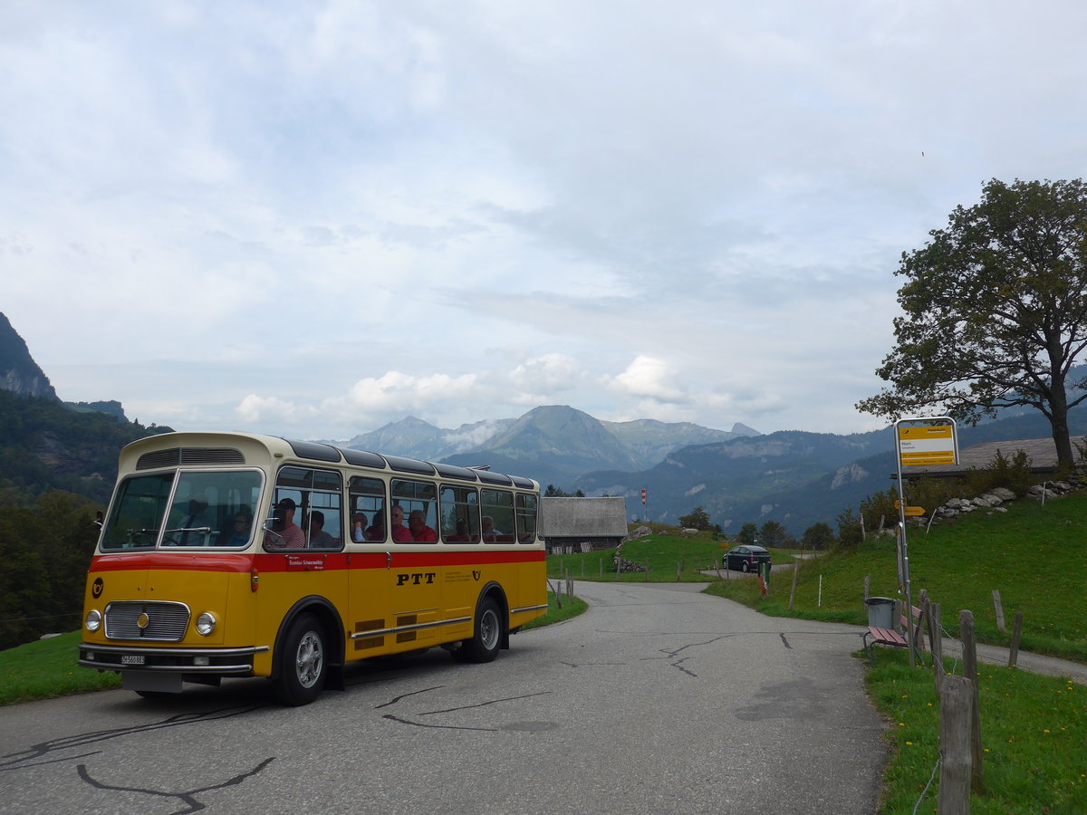 (197'737) - Frutig, Birmensdorf - ZH 560'883 - FBW/FHS (ex P 23'217) am 16. September 2018 in Geissholz, Hori